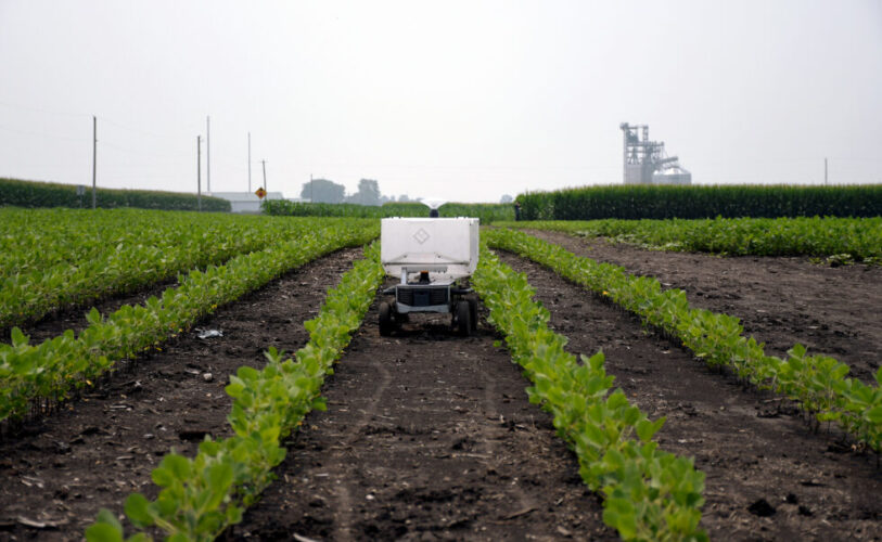 The I-FARM testbed will feature under-canopy autonomous robotic solutions for cover-crop planting