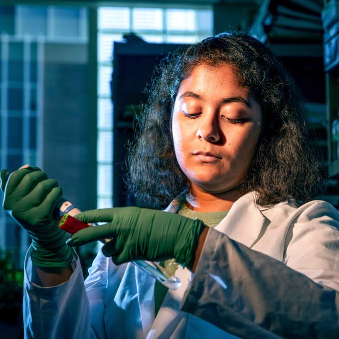 A microbiology research student runs tests on bacterial samples in the facilities at the Chemical and Life Sciences Laboratory.