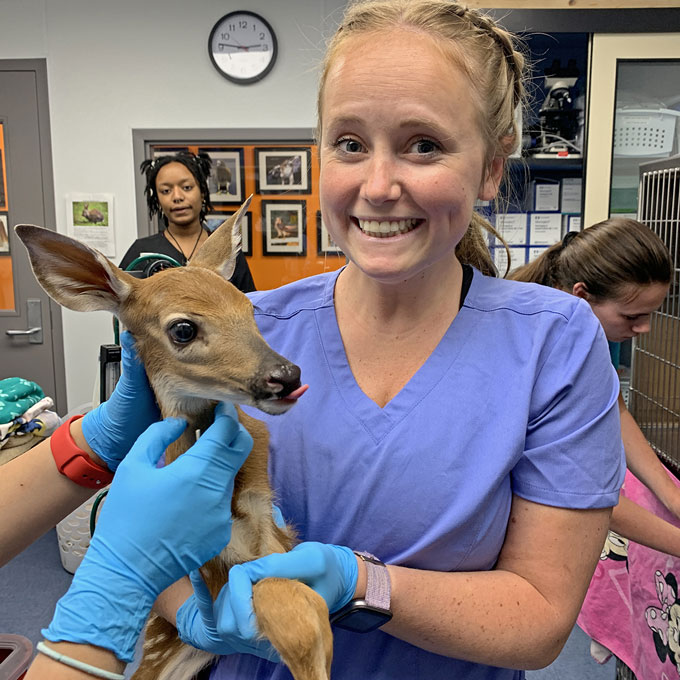student with baby deer in the clinic